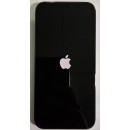 Apple iPhone 12 Pro 5G (256GB) - No Face ID