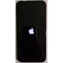 Apple iPhone 13 Pro Max 5G (1TB) - Face ID Not Working
