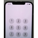 Apple iPhone 12 Pro Max 5G (512GB) - LCD Minor Shade On Top
