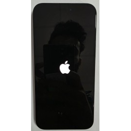 Apple iPhone 15 Pro Max 5G (256GB) - Minor Spot On Screen
