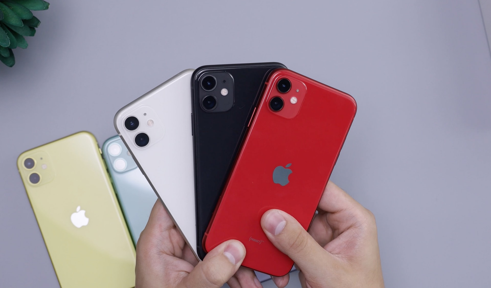 iPhone 12 vs iPhone 11 - Apple iPhone Showdown (Updated 2022)