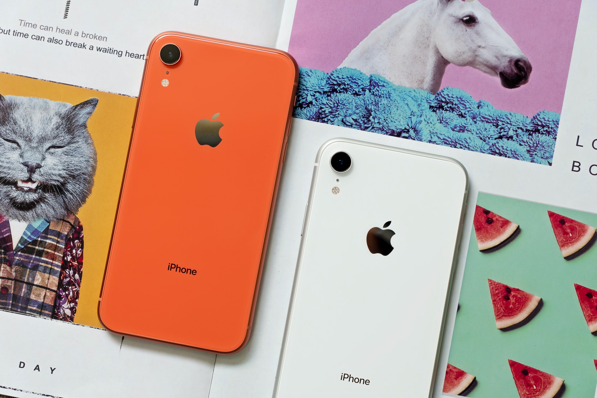 Apple iPhone XR – A Fresh Take On the Budget King!